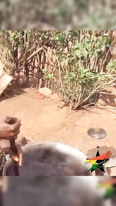 How Shea Butter is made is the Northern Region of Ghana  Video by Hamamat Mantia   Her ig : @iamhamamat 